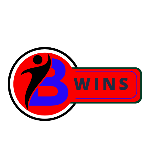 https://bwins.fr/